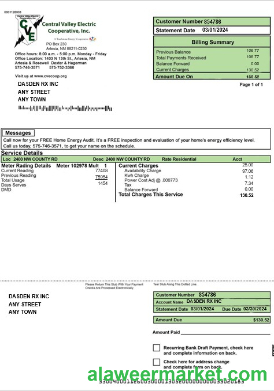 USA CENTRAL VALLEY ELECTRIC business utility bill Word and PDF template
